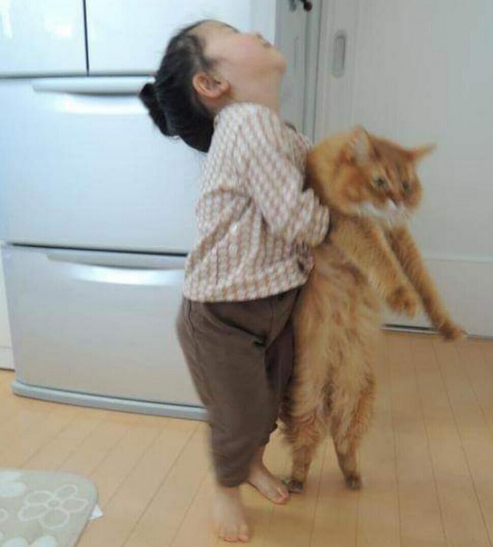 SonoElfo's tweet photo. Nessuno:

Io quando vado a casa di qualcuno che ha un animale domestico: https://t.co/SXOciaoptv