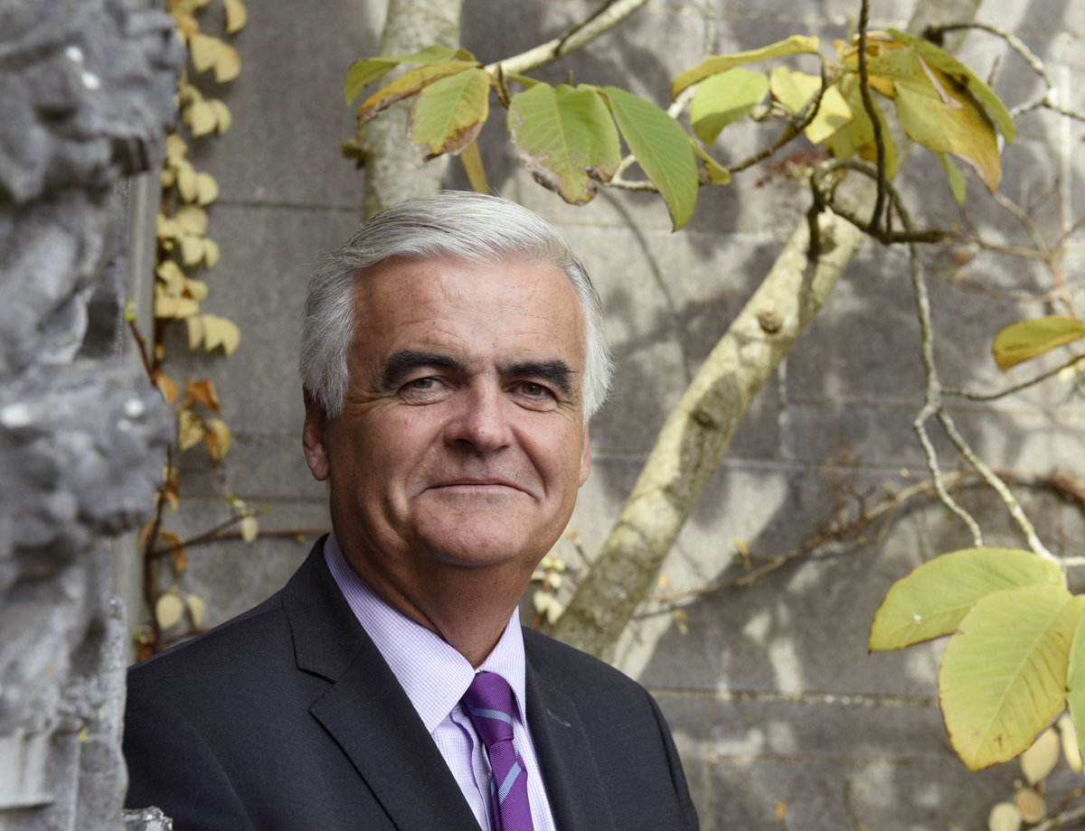 LUCINDA O’SULLIVAN tweet media