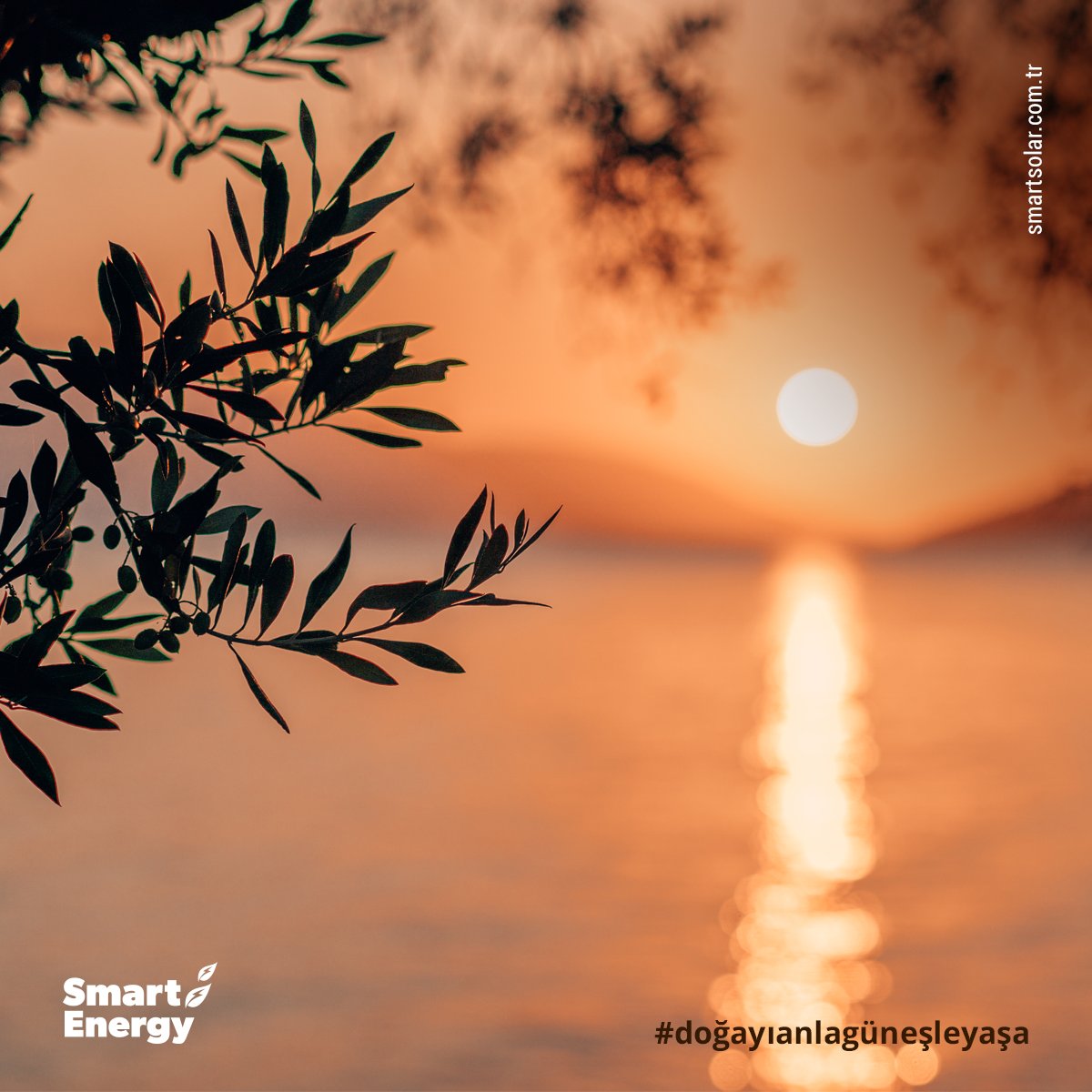 smartgunes's tweet image. Doğanın tüm güzelliklerini aydınlatan Güneş’in sonsuz gücü sayesinde büyük projelere imza atmaya devam ediyoruz.

#smartenergy #gosmart