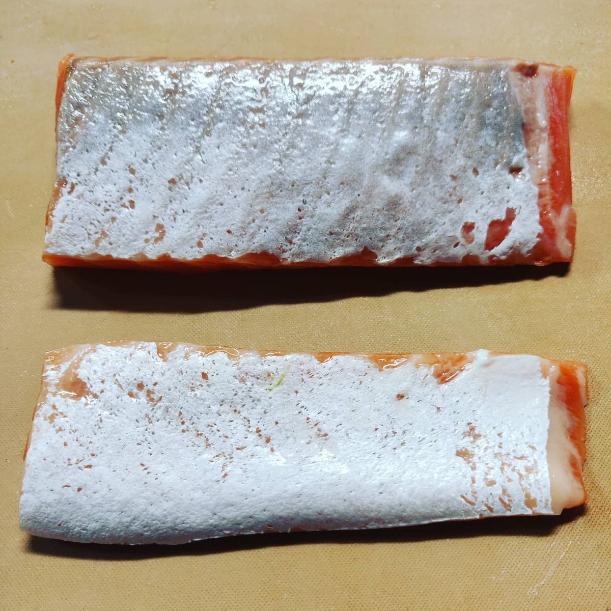 SushiVito's tweet photo. Silver skin Salmon  aged in miso nigiri with kizami wasabi 

#sushiitalia #sushi #sushichef #nigiriart #nigirisushi #nigiri #salmon #salmonnigiri #japanesefood #japanesestyle #kizamiwasabi #wasabi  #silverskin. https://t.co/G2ee60oq2l