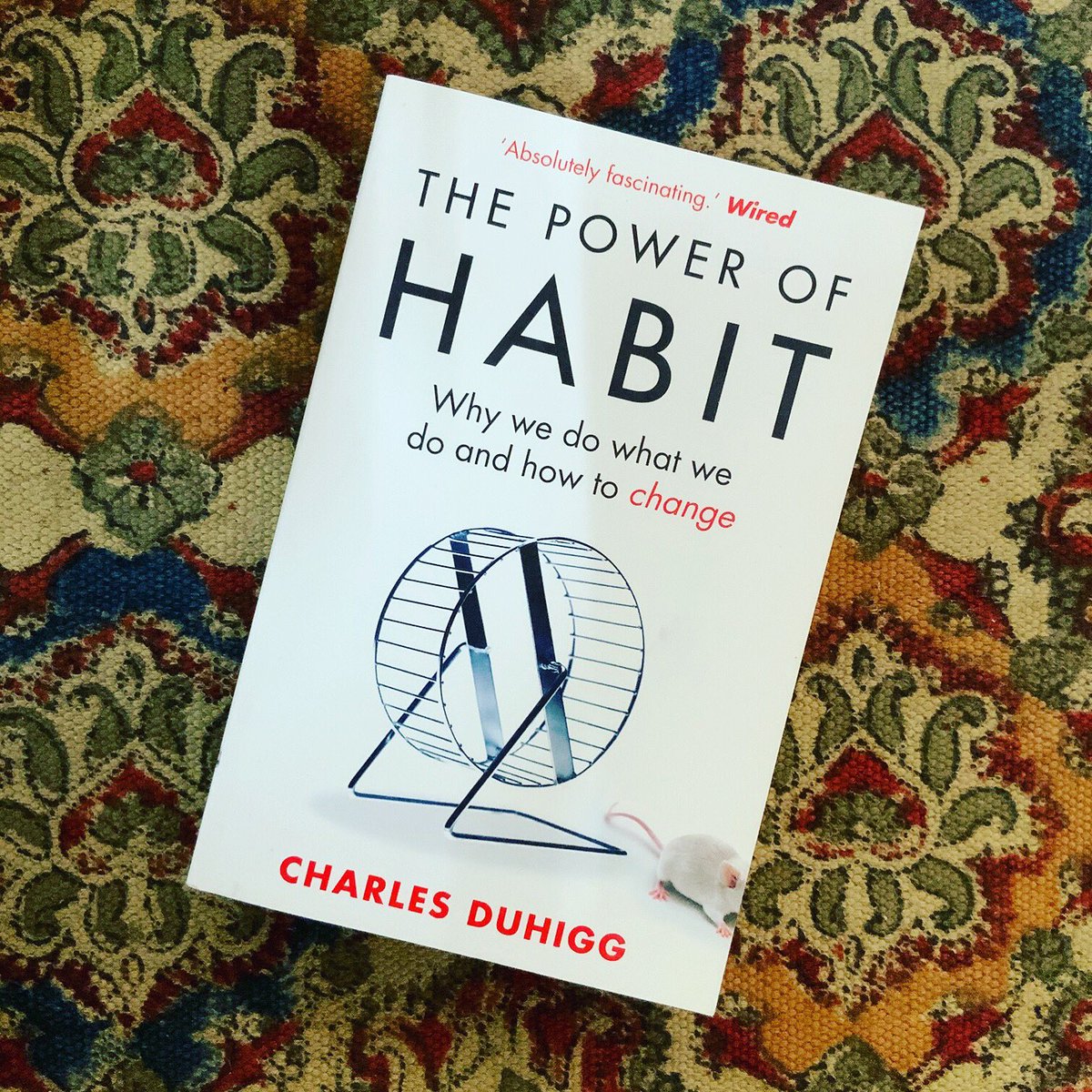 bluefishtales's tweet photo. Current Read: The Power of Habit by @CharlesDuhigg
I am finding it to be an interesting read. Let me know what you are reading? ππ
#charlesduhigg #thepowerofhabit #bluefishtales #childrensillustrators #illustrationartists #readerscommunity #readersareleaders #bookstoread https://t.co/HKWGJpvAhx