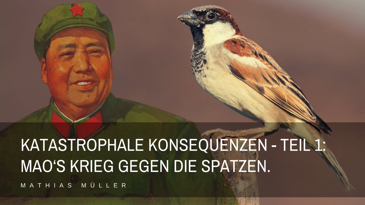 Der stoische Pirat: Wenn Entscheide von Regierungen zwar ein Problem bekämpfen, dafür aber eine Katastrophe verursachen #leadership #decisions #Communism 
muellermathias.ch/single-post/ka…