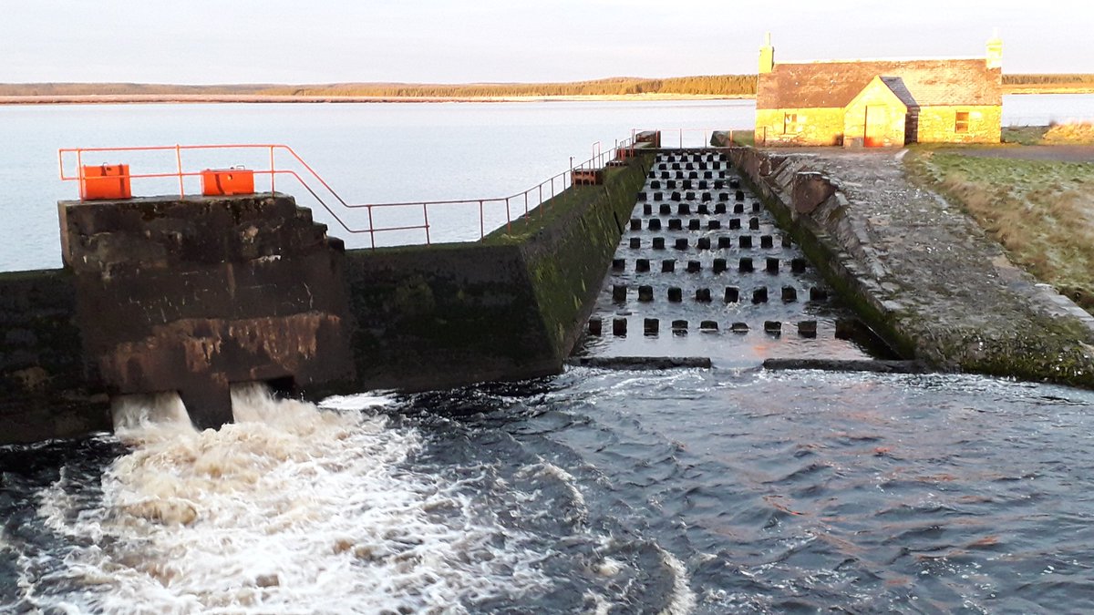 Dipper595's tweet image. Loch more this morning as the sun comes up