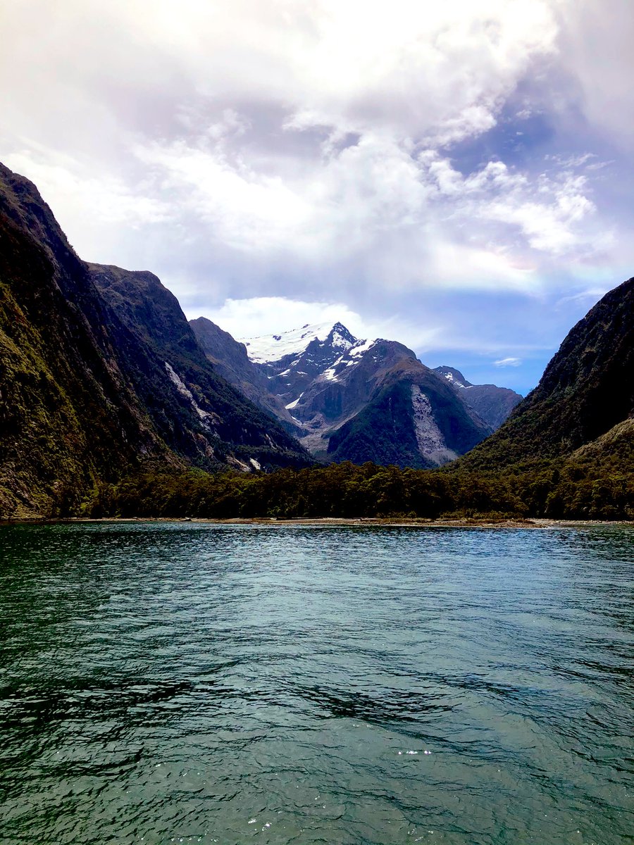 ParentsonaPlane's tweet photo. We’ve been out of cell reception cruising Milford Sound in our beautiful home of #NewZealand. Feeling really grateful to be living here right now! https://t.co/gxZLO1SeyV