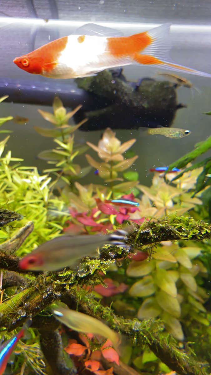 水質管理 水質管理