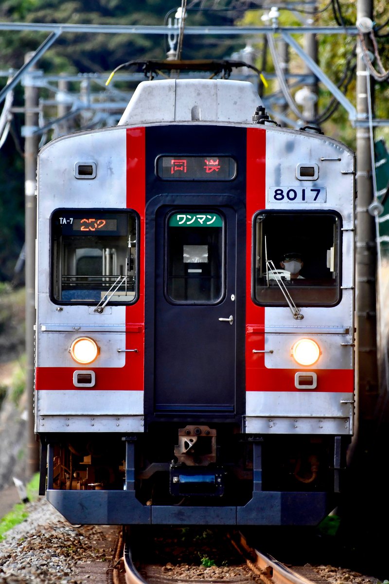 ◯伊豆急行8000系 TA-7 歌舞伎 クハ8017 ×2、モハ8207 ×2◯ ◯伊豆急行8000系 TA-7 歌舞伎 クハ8017 ×2、モハ8207 ×