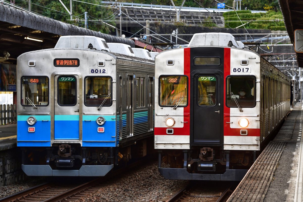 2020/11/29 伊豆急行線 8000系TA-7編成(歌舞伎リバイバル) 「歌舞伎