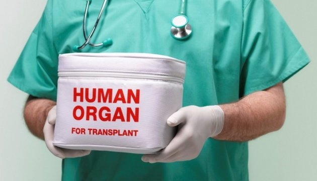 В Полтаві хірурги навчатимуться трансплантації органів https://t.co/5sZzll8vNN https://t.co/xlgQxKajrN