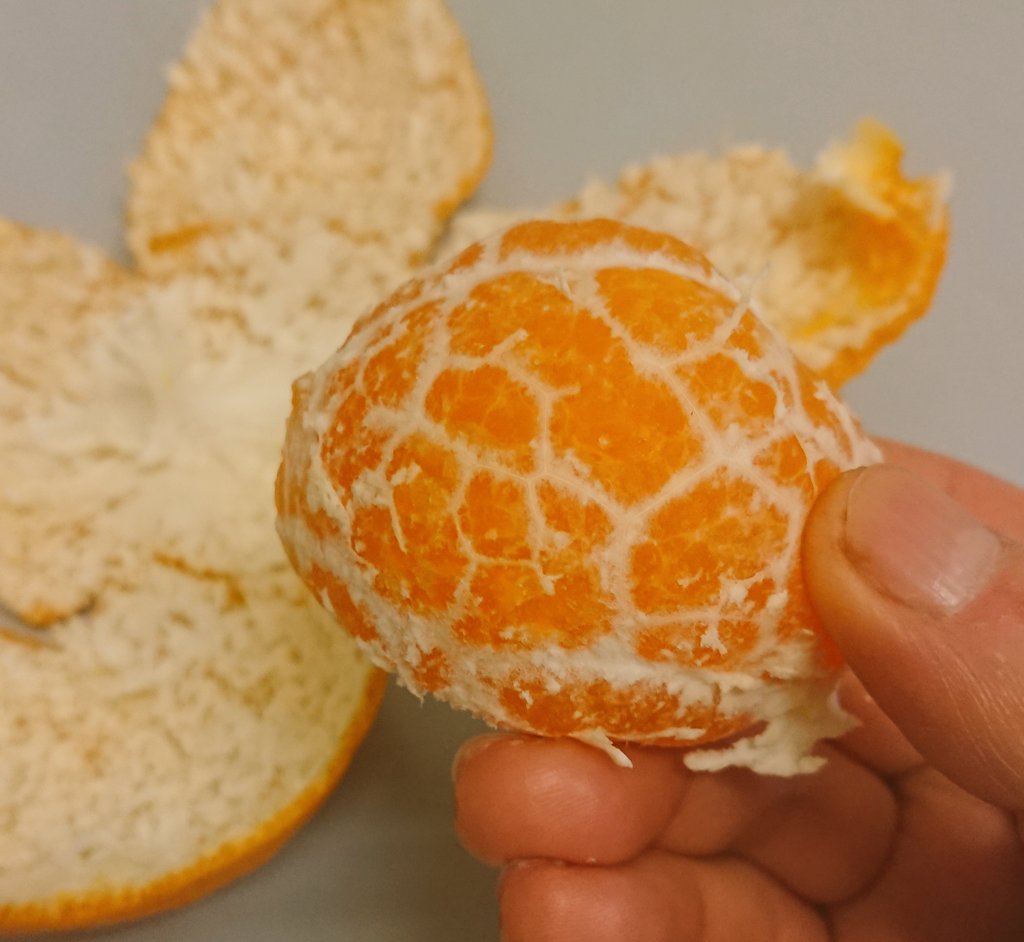 ﾎﾏﾚﾕｷ على تويتر いかいらー こんなん初めてだわwww 昔ちっさい生しらすん中に 巨大なのが混ざってて 調べたら 穴子だか稚魚で のれそれって呼び名だっけのよ それ以来の衝撃w