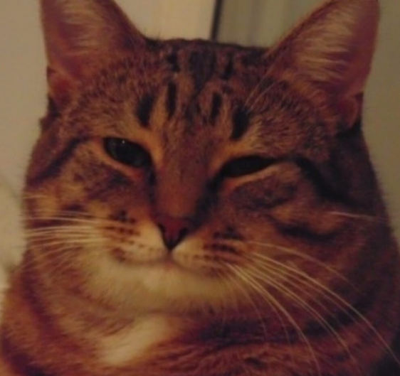 5. Moar (hallucinated) inputs to the WBS! I have already mentioned monodepth. Semantic segmentation? Yes, please. Surface normals? Why not? Intrinsic images? Йой, най буде! That's it, folks!7/7