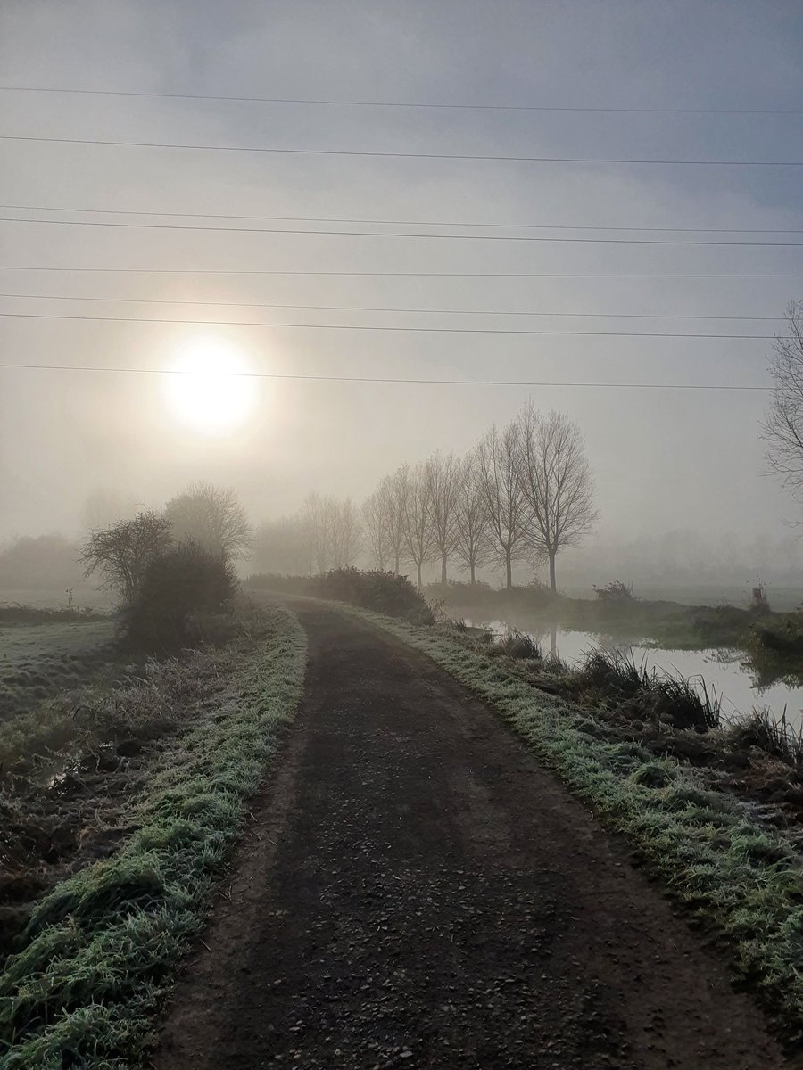 SteveDarch's tweet photo. Good morning fellow tweeters - beautiful frosty &amp; foggy day in Somerset #Tier2Life #notoryinsight https://t.co/EgTaQGSDvp