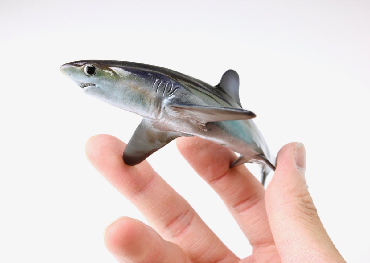 Twoucan Wire の注目ツイート モデル