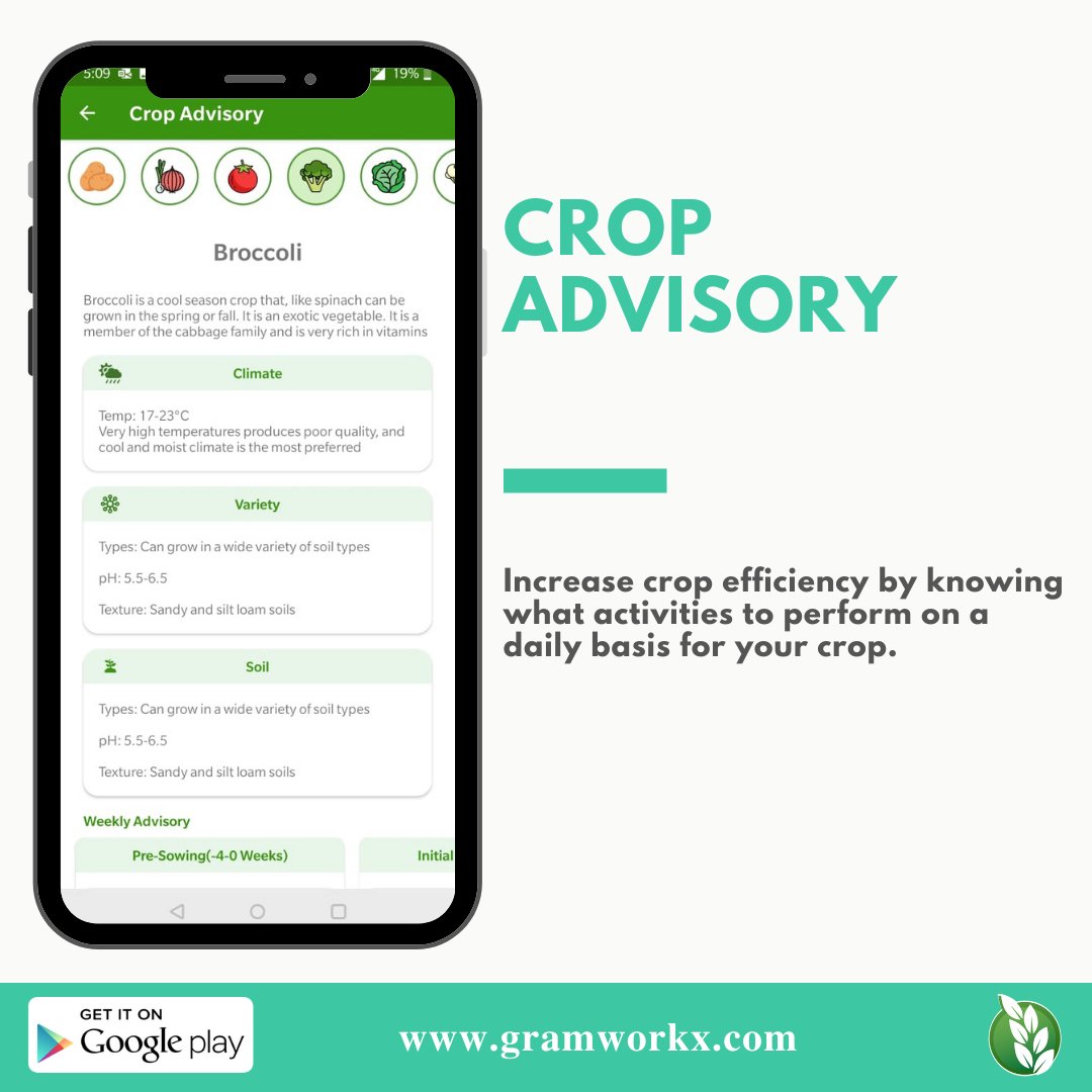 GramworkX tweet media