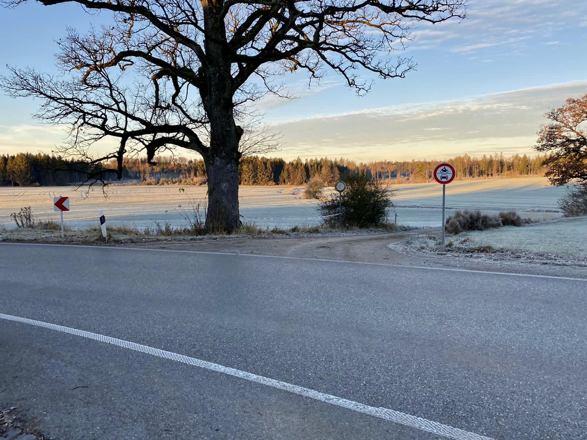 NewEurCollege's tweet photo. Do you feel it? 👃 Right, smells like #Friday!😃 How about a short #run tonight? 🏃 🏃♂️ 🏃♀️ Great! Try out these top spots in #Munich:
1️⃣ #Englischer Garten
2️⃣ #Olympiapark Loop
3️⃣ #Luitpoldpark Route
4️⃣ #Schlosspark Nymphenburg Route
5️⃣ #Westpark Loop https://t.co/iTXJCTvvBX