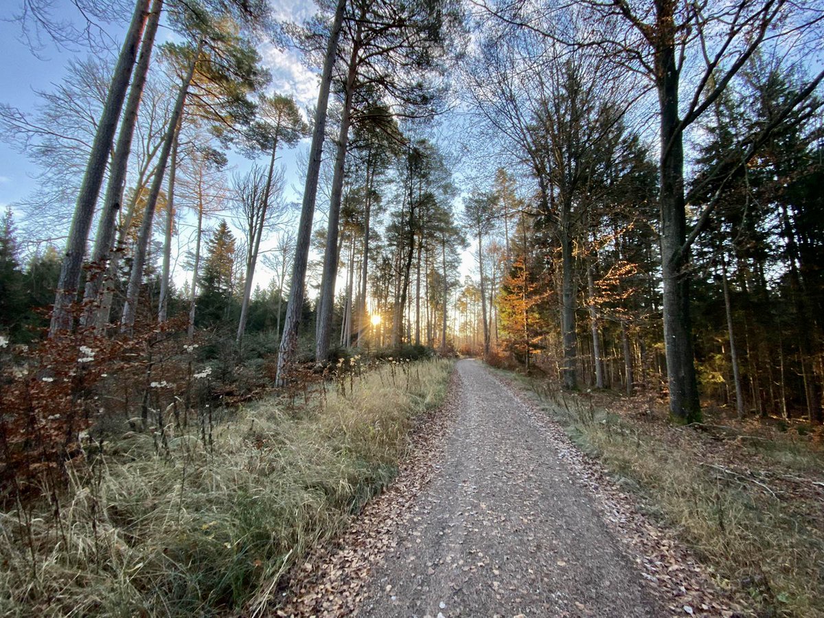 NewEurCollege's tweet photo. Do you feel it? 👃 Right, smells like #Friday!😃 How about a short #run tonight? 🏃 🏃♂️ 🏃♀️ Great! Try out these top spots in #Munich:
1️⃣ #Englischer Garten
2️⃣ #Olympiapark Loop
3️⃣ #Luitpoldpark Route
4️⃣ #Schlosspark Nymphenburg Route
5️⃣ #Westpark Loop https://t.co/iTXJCTvvBX