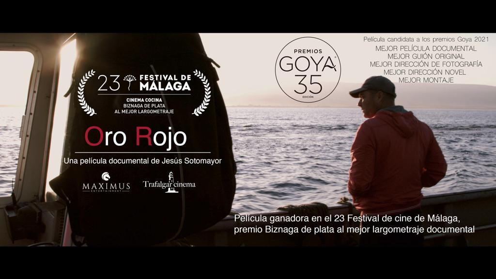 TrafalgarCinema's tweet photo. 'Oro Rojo', de Jesús Sotomayor, candidata a los Premios Goya
https://t.co/xbld5HNpsl
Vía: @andaluciainf
#elcinequeemociona #news #noticias #cine #documental #Barbate #Andalucia #España #Tokyo #Japon #Japan #atun #FestivaldeMalaga #OroRojo https://t.co/rTclzFs8uc