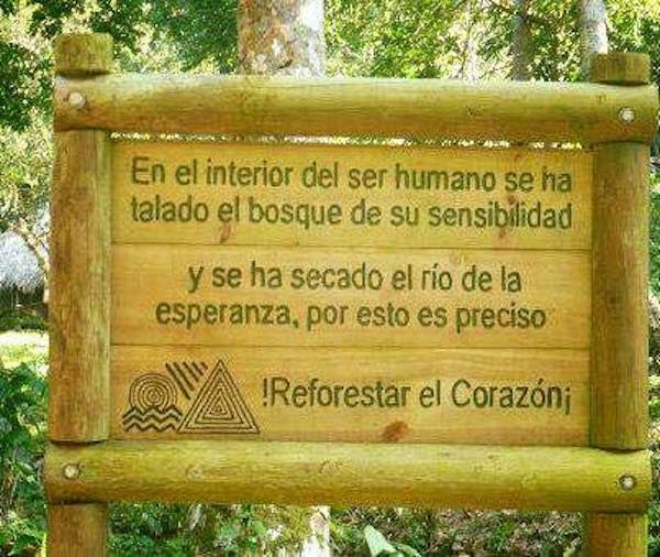 EcoInventos's tweet photo. ¡Reforestar el corazón! https://t.co/88kHtYDz7d