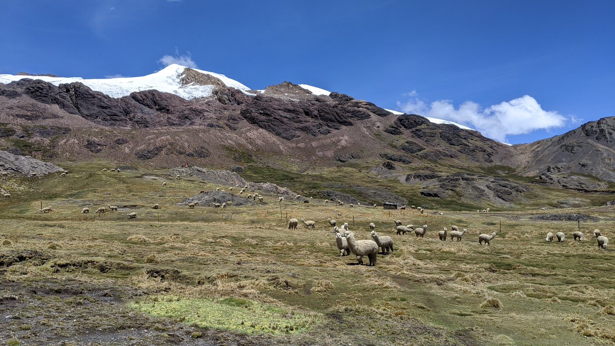 Jon Mackay (@hydrojon) on Twitter photo Prospective doctoral researchers, would you like to work in the Peruvian Andes to develop new #hydrology understanding of high-altitude #mountain wetlands? Check out our new <a href="/CENTA_NERC/">CENTA</a> PhD here: centa.ac.uk/studentship/wa… <a href="/freshwaterflows/">freshwaterflows</a> <a href="/WouterBuytaert/">Wouter Buytaert</a> <a href="/BritGeoSurvey/">British Geological Survey</a> <a href="/GeogBham/">Geography Birmingham</a> Prospective doctoral researchers, would you like to work in the Peruvian Andes to develop new #hydrology understanding of high-altitude #mountain wetlands? Check out our new <a href="/CENTA_NERC/">CENTA</a> PhD here: centa.ac.uk/studentship/wa… <a href="/freshwaterflows/">freshwaterflows</a> <a href="/WouterBuytaert/">Wouter Buytaert</a> <a href="/BritGeoSurvey/">British Geological Survey</a> <a href="/GeogBham/">Geography Birmingham</a>