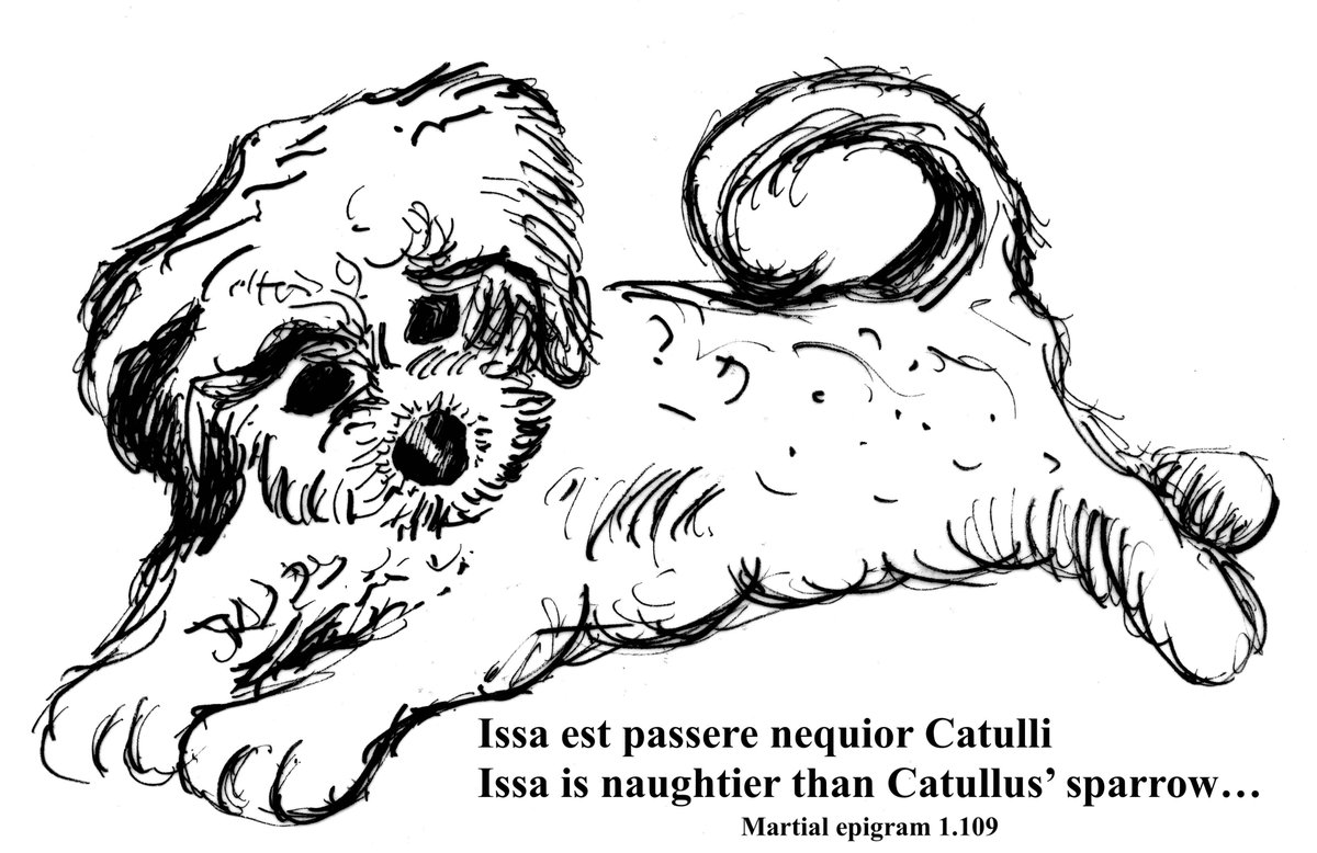 CarolineLawrenc's tweet photo. Ode to a Roman puppy named Issa, by the Latin poet Martial... #LoveLatin #RomanPoetry #JoysOfLatin https://t.co/DqhXaJY1DR