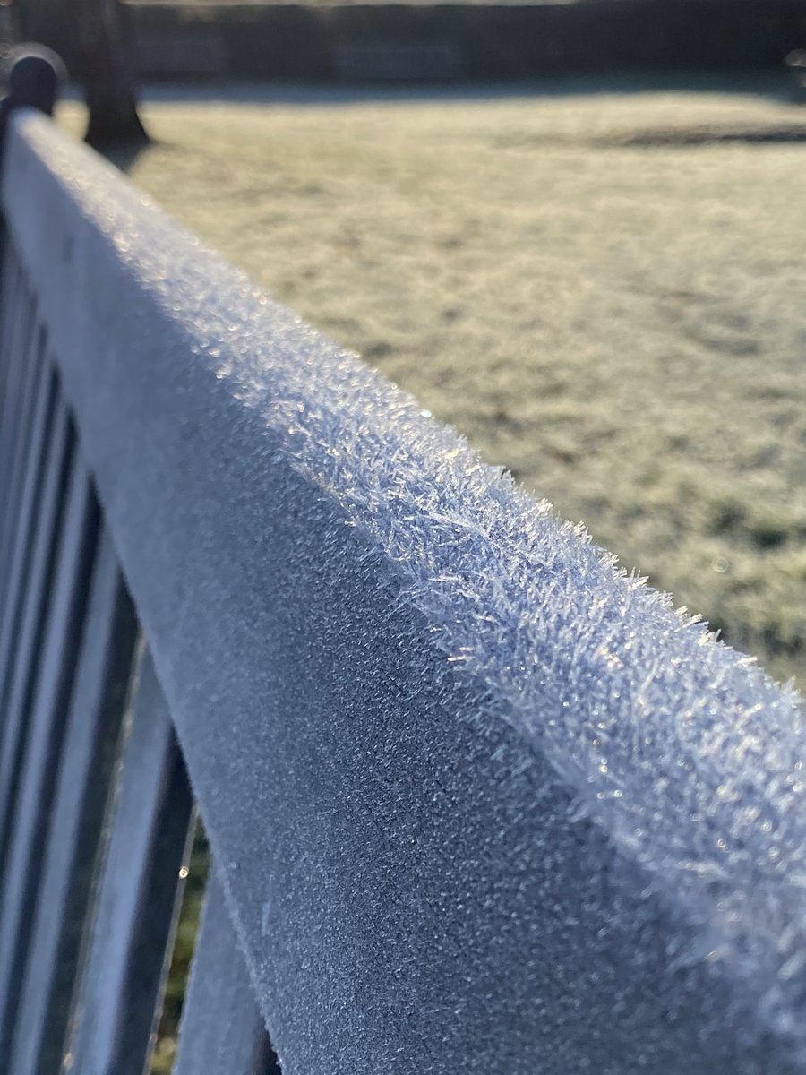 gleni77's tweet photo. A magical morning along the Thames in Henley. #quiet #frost #rivermist #cobwebs #henleyweir https://t.co/WbdMDieeLD