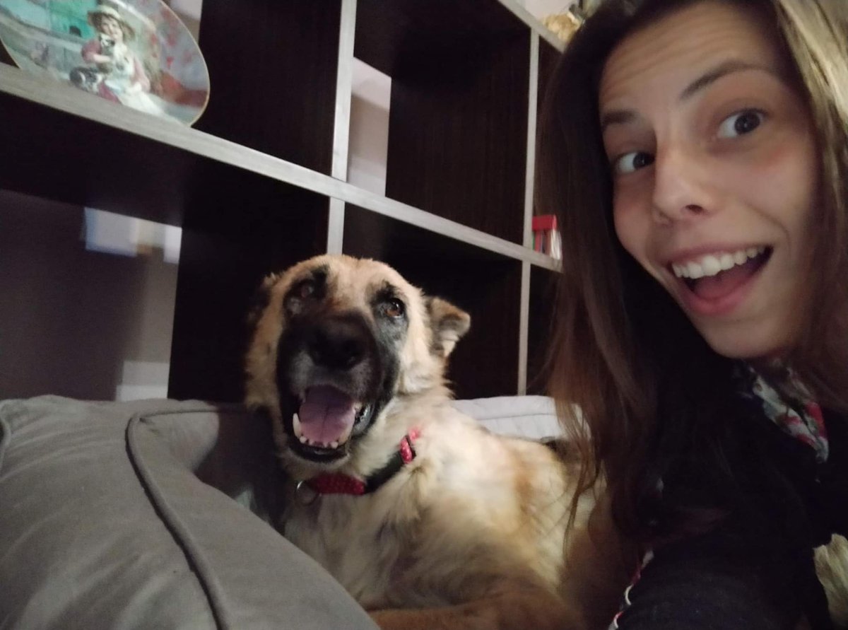 1371Takis's tweet photo. Apostolia is working in my shelter 2 months now and she adopted Clara !  Clara is a lovely German Shepherd with special needs and now she is in the best hands ever ! Thank you very much Apostolia ! https://t.co/MgY4rKpowP