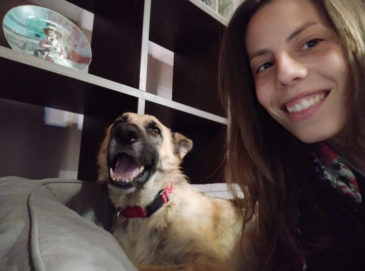 1371Takis's tweet photo. Apostolia is working in my shelter 2 months now and she adopted Clara !  Clara is a lovely German Shepherd with special needs and now she is in the best hands ever ! Thank you very much Apostolia ! https://t.co/MgY4rKpowP