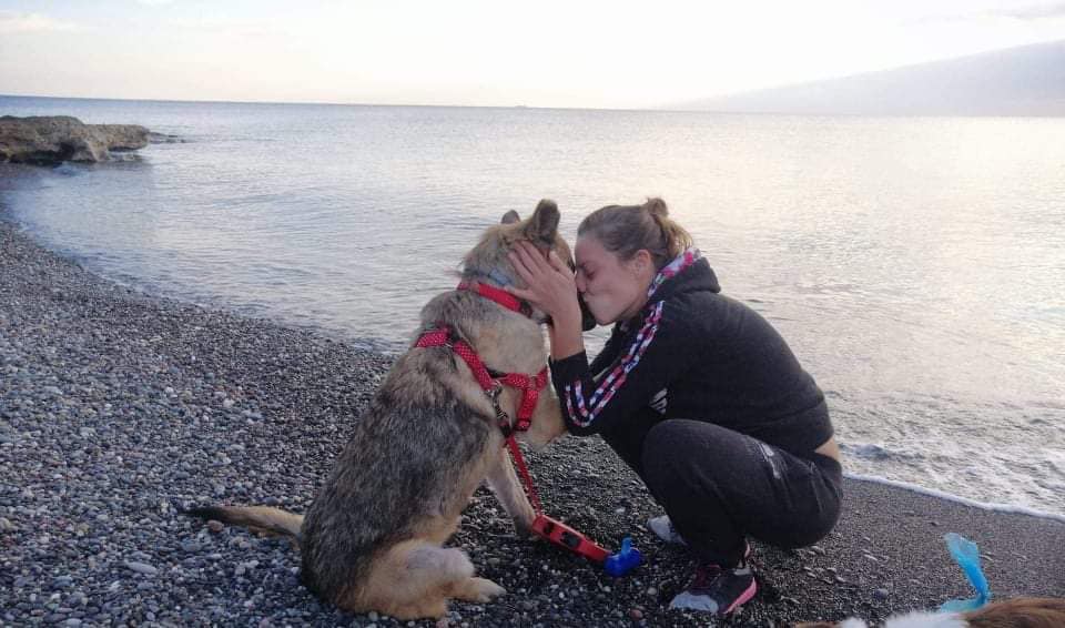 1371Takis's tweet photo. Apostolia is working in my shelter 2 months now and she adopted Clara !  Clara is a lovely German Shepherd with special needs and now she is in the best hands ever ! Thank you very much Apostolia ! https://t.co/MgY4rKpowP