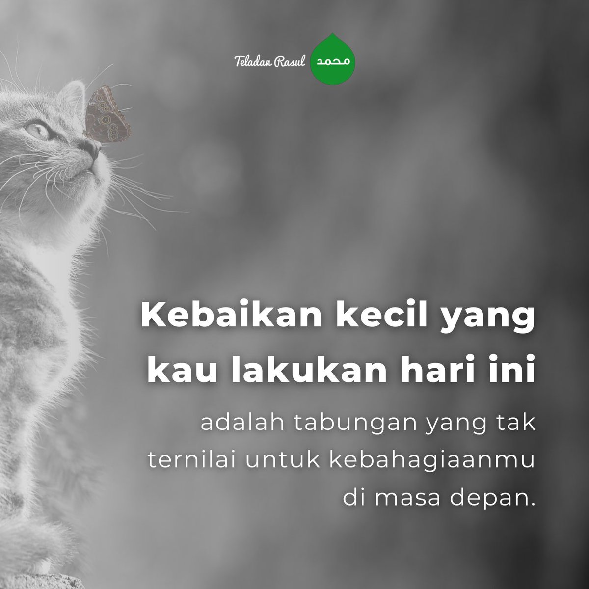 Teladan Rasul tweet media