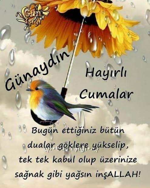 Fatma (@fatma35519740) on Twitter photo 
