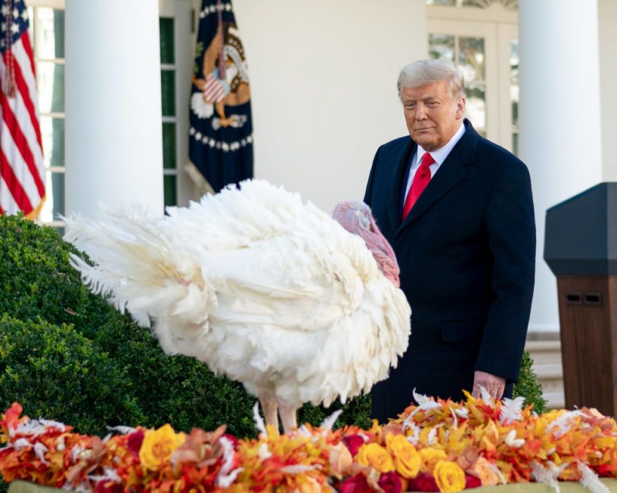 NY EPISODE! Hva driver Trump med om dagen? Og hva er <a href="/HenrikHeldahl/">Henrik Heldahl</a>, <a href="/VarinAlme/">Vårin Alme</a>, <a href="/sigridrg/">Sigrid Rege Gårdsvoll</a> og <a href="/AreFlaten/">Are Tågvold Flaten</a> takknemlige for når det kommer til amerikansk politikk...? Thanksgiving-utgaven av 2020: ampol.no/3mdnWPg
