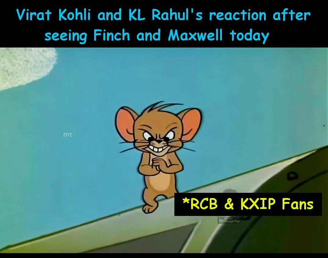 IPLCricket2021's tweet photo. Maxwell &amp; Finch 😂😂😂

#INDvsAUS https://t.co/fBZYgz990J