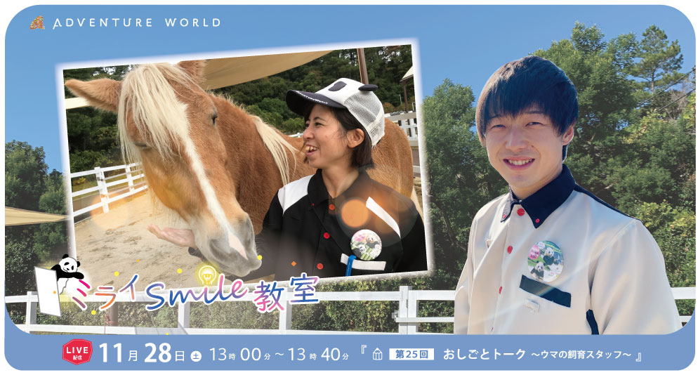【第25回 #ミライSmile教室 】明日(11/28) 13:00~13:40「おしごとトーク ~ウマの飼育スタッフ~」をYouTubeLive配信!スタッフがウマの飼育のお仕事や想いを語ります☆
配信はこちら https://t.co/YfBBEFebAF
#アドベンチャーワールド #顔晴ろうわかやま https://t.co/FaG5df4iYP
