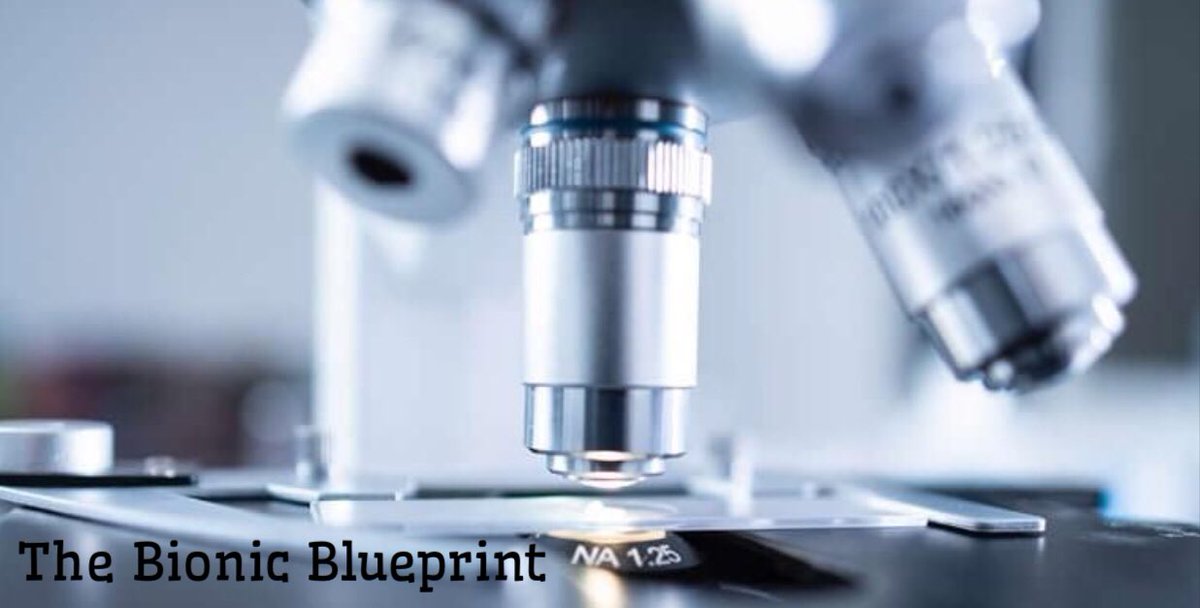 QAssociations's tweet image. Good Morning. Still working on the Bionic Blueprint in online format. “We can rebuild you” #bbp #bionicbp #quantumfa #makevisible #onlinecourses