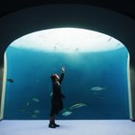 「四国水族館」癒しの空間・地上から届く太陽の光りと深い青の世界に沈む