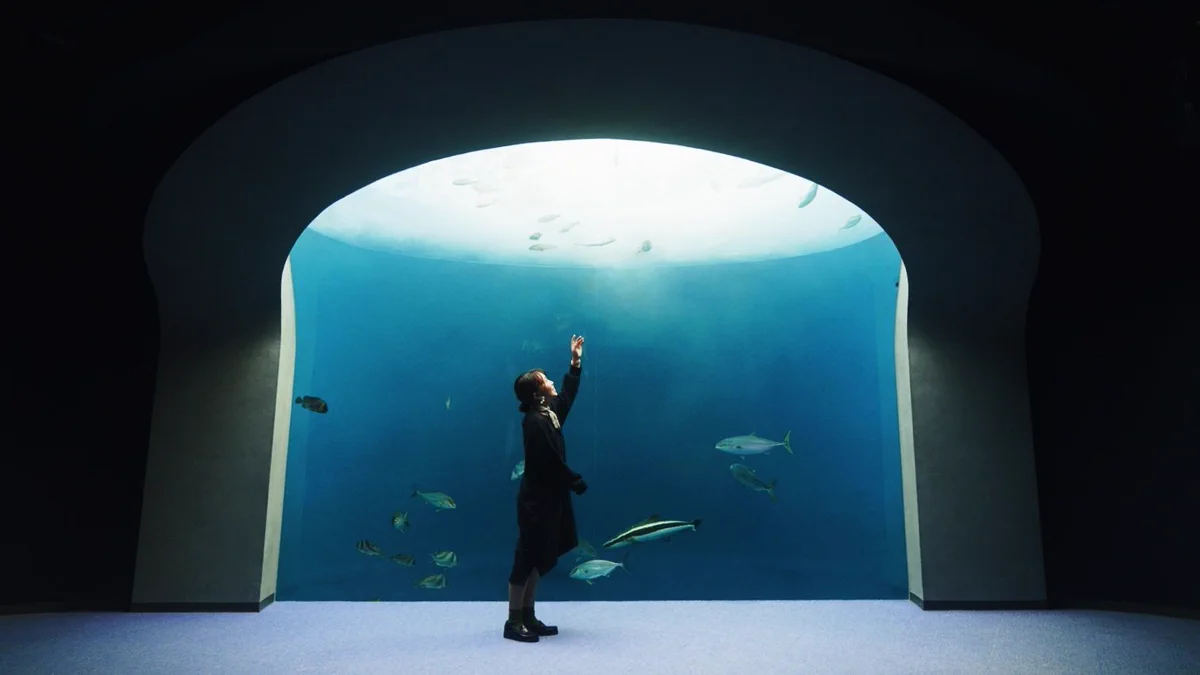 「四国水族館」癒しの空間・地上から届く太陽の光りと深い青の世界に沈む