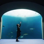 「四国水族館」癒しの空間・地上から届く太陽の光りと深い青の世界に沈む