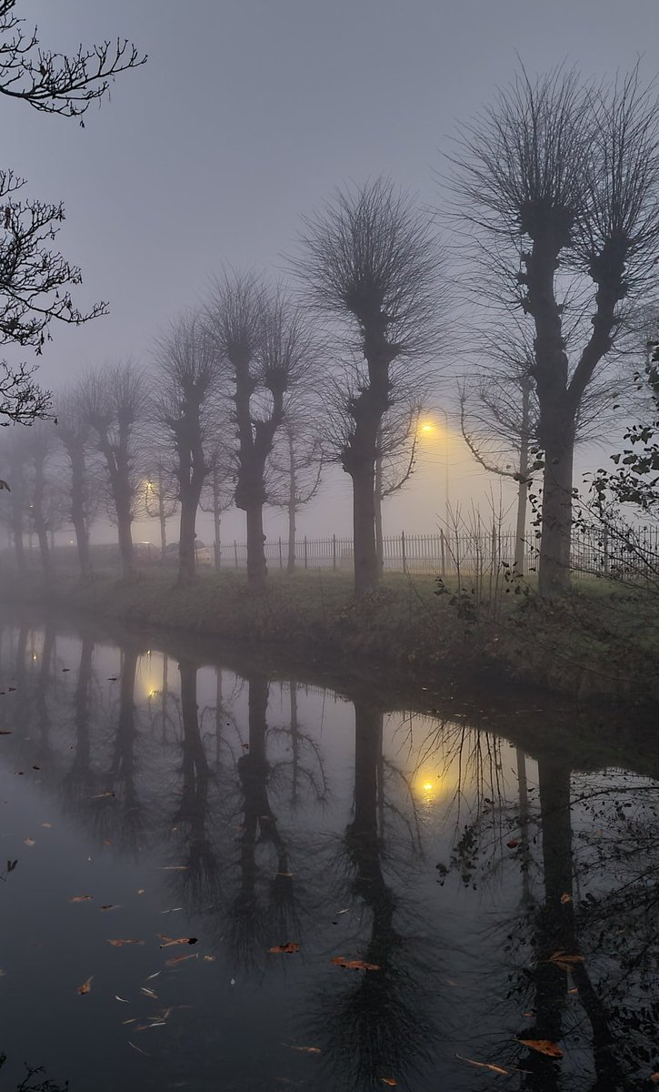 poptaslot's tweet photo. Goedemorgen-Goeie-Moarn-Good morning #mistig @p_paulusma https://t.co/FhZOtOdFtt