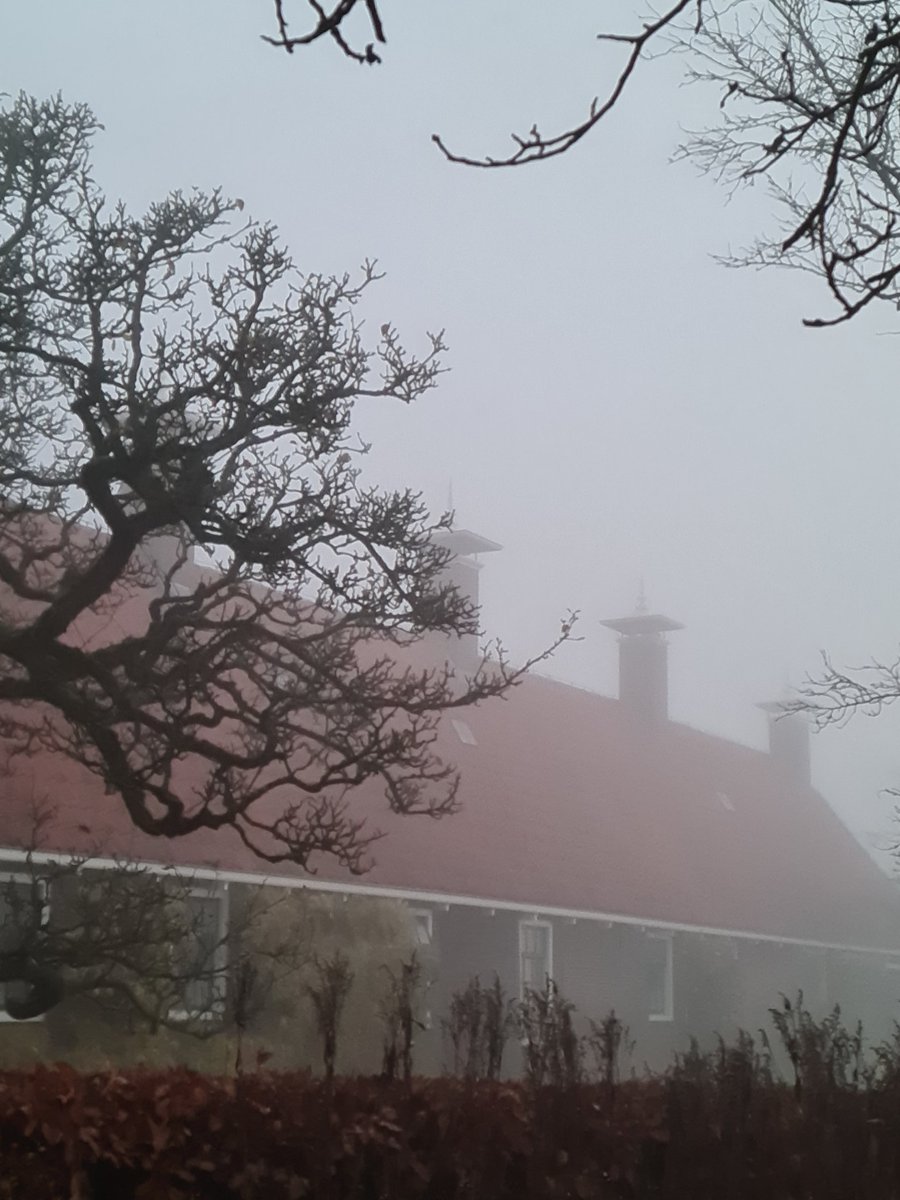 Goedemorgen-Goeie-Moarn-Good morning #mistig <a href="/p_paulusma/">Piet Paulusma</a>