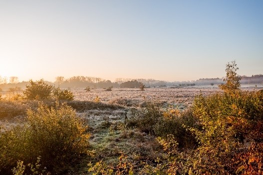 Plannen om te gaan wandelen in het Mechels Broek?
Kom te voet, met de fiets of het openbaar vervoer.

Kom je met de auto?
Parkeer o/d ruime (gratis) parking van De Nekker-site. 
Op een paar stappen v/h Mechels Broek.
#Mechelen
<a href="/NatuurMechelen/">mechelrivierengebied</a>

Meer info:👇
mechelen.be/naar-het-meche…