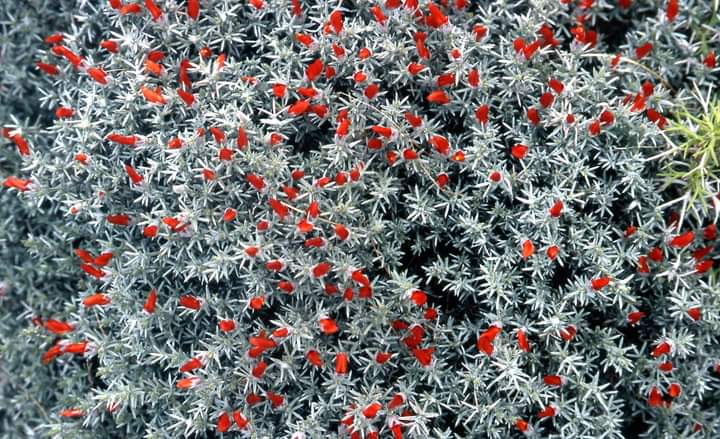 In Patagonia argentina   ricordi fotografici