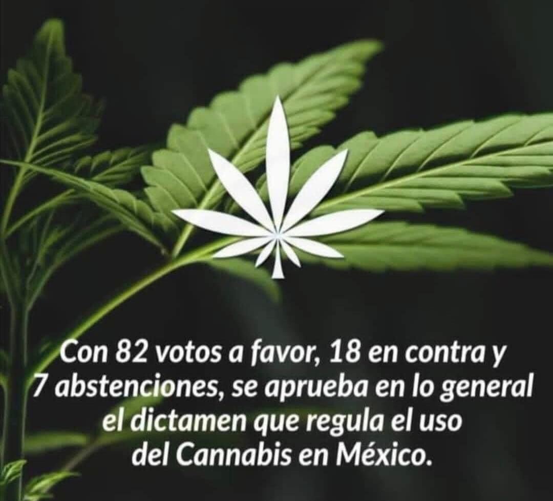 BUSCO SOCIOS 

Estamos globalizado el negocio en un momento muy importante.

El cupo es ilimitado, pero el momento es crucial.

El BOOM REAL AUN NO HA LLEGADO, Y QUIERES ESTAR AQUÍ PARA SER PARTE.