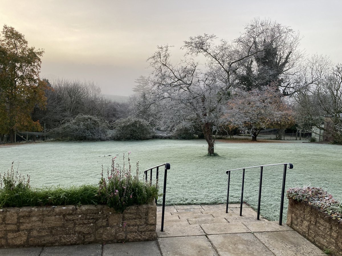 Bit chilly out - thermals needed for the gang today 🥶