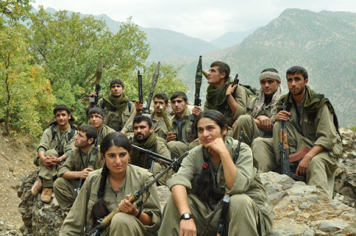 Gelê Kurd zarokên xwe yên herî bedew, hêja, jîr û leheng  dane PKK'ê. Ji ber vê kombûna hemû bedewiyane, wê teqez serkeve.