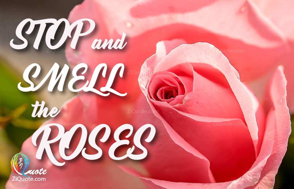 ZiQuot's tweet photo. Stop and smell the roses. 
.
https://t.co/grcm953Adk
.
#motivational #motivation #motivationalquotes #quotes #mindset #inspiration #goals #positivity #believe #success #inspirationalquotes #inspire #positivevibes #love #life #entrepreneur #quoteoftheday #selflove #happiness https://t.co/xsDUniWzMq