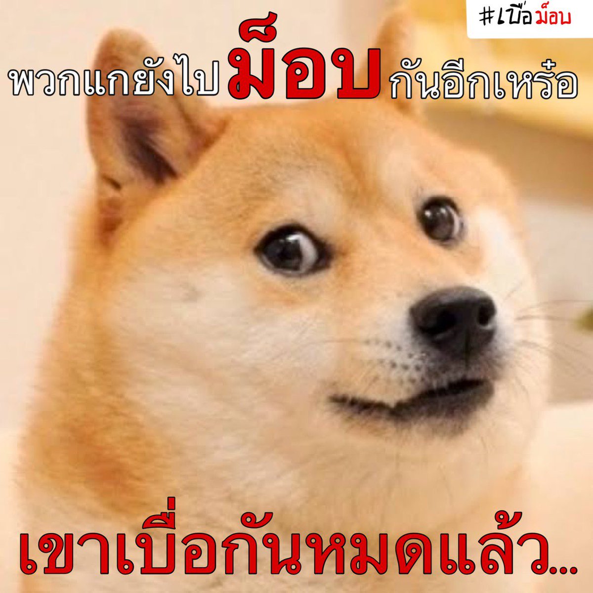 Fallensky01's tweet photo. เย็นนี้จะกลับถึงบ้านกี่ทุ่ม ทำงานก็เหนื่อยอยู่แล้ว รถก็ติด ยังมาเจอกับปัญหาบ้าๆของม็อบอีก #ม็อบ27พฤศจิกา #เบื่อม็อบ https://t.co/5NaIjFlHQR
