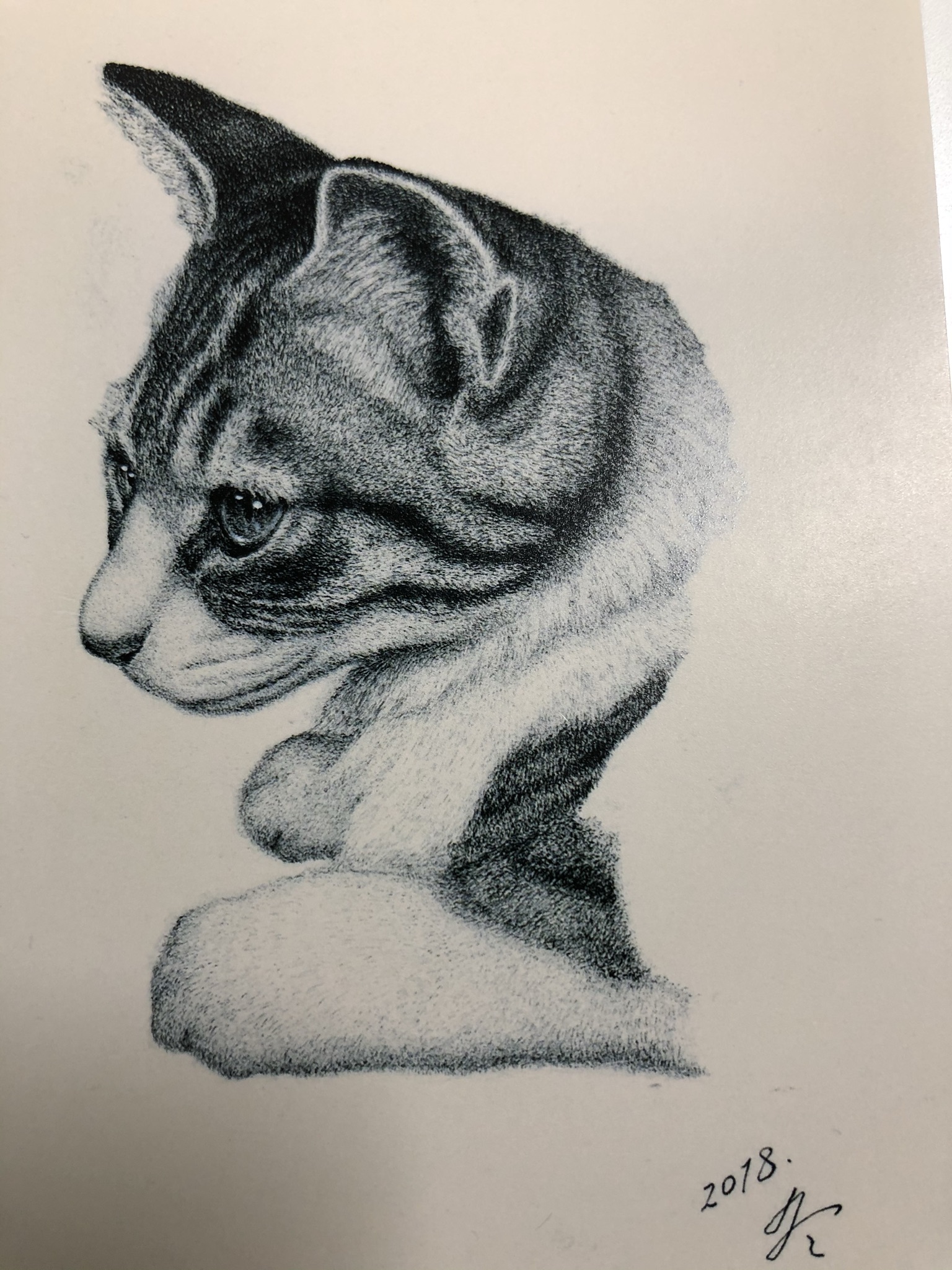 與倉豪細密ペン画猫