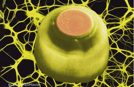 Photoniques_edp's tweet photo. Interested in #microlasers, #neuralnetworks, spike-based computing? Read "Micro-lasers for neuromorphic computing" https://t.co/6Esh5oJba3 Reviews some of the latest advances using single and coupled semiconductor excitable micro-lasers. @C2N_com @sfoptique @europeanoptics #OA https://t.co/AKQeyxAX4q