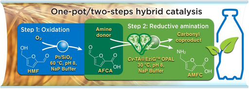ChemCatChem (@chemcatchem) on Twitter photo Hybrid conversion of 5-hydroxymethylfurfural to 5-aminomethyl-2-furancarboxylic acid: Toward new bio-sourced polymers from <a href="/univ_lille/">Université de Lille</a> #catalyst, <a href="/wojcieszakr/">Robert Wojcieszak</a>, <a href="/UCCS_8181/">UCCS-Unité de Catalyse et Chimie du Solide</a>, <a href="/egonheuson/">Egon Heuson</a> onlinelibrary.wiley.com/doi/10.1002/cc… Hybrid conversion of 5-hydroxymethylfurfural to 5-aminomethyl-2-furancarboxylic acid: Toward new bio-sourced polymers from <a href="/univ_lille/">Université de Lille</a> #catalyst, <a href="/wojcieszakr/">Robert Wojcieszak</a>, <a href="/UCCS_8181/">UCCS-Unité de Catalyse et Chimie du Solide</a>, <a href="/egonheuson/">Egon Heuson</a> onlinelibrary.wiley.com/doi/10.1002/cc…