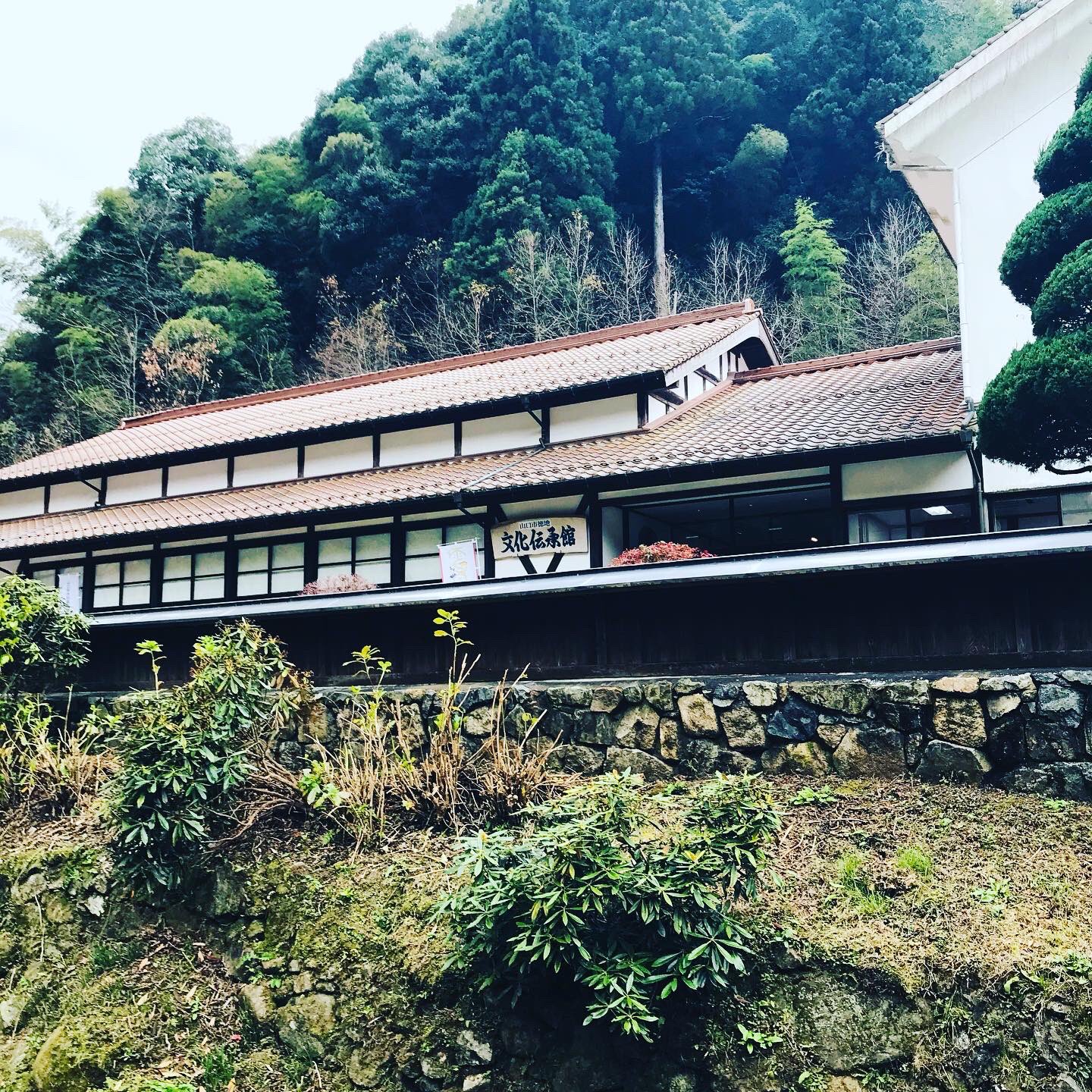 山口県お出かけ Twitter Search Twitter