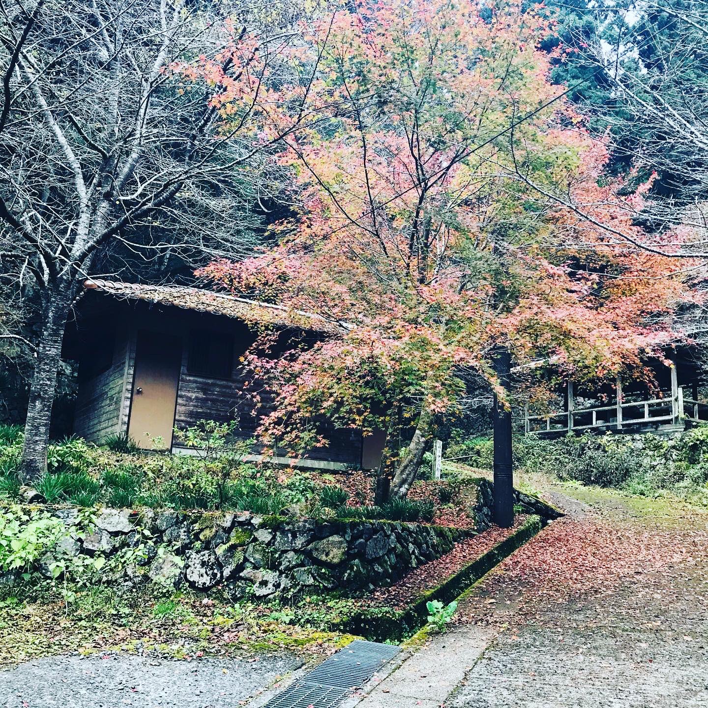 山口県お出かけ Twitter Search Twitter